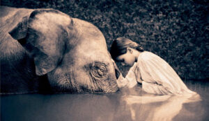 compassione