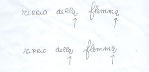 flemma